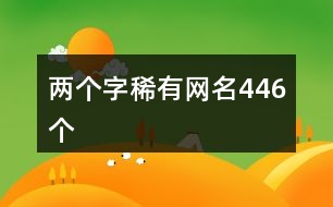 兩個字稀有網名446個