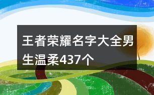 王者榮耀名字大全男生溫柔437個