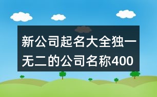 新公司起名大全,獨(dú)一無二的公司名稱400個