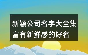 新穎公司名字大全集,富有新鮮感的好名字大全381個