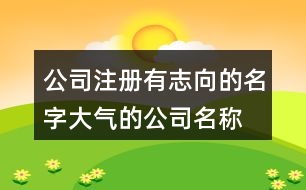 公司注冊有志向的名字,大氣的公司名稱大全443個(gè)