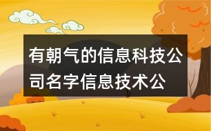 有朝氣的信息科技公司名字,信息技術公司名字大全437個