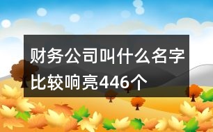 財務(wù)公司叫什么名字比較響亮446個