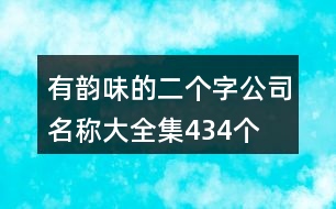 有韻味的二個字公司名稱大全集434個