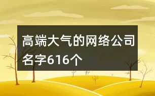 高端大氣的網(wǎng)絡(luò)公司名字616個(gè)