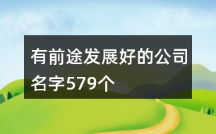 有前途發(fā)展好的公司名字579個(gè)