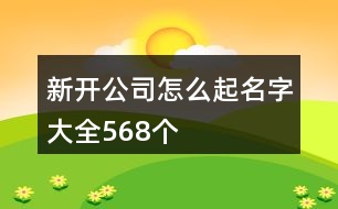 新開(kāi)公司怎么起名字大全568個(gè)