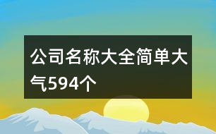 公司名稱大全簡單大氣594個(gè)