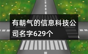 有朝氣的信息科技公司名字629個(gè)