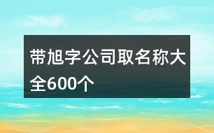 帶旭字公司取名稱大全600個