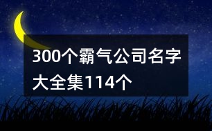 300個霸氣公司名字大全集114個