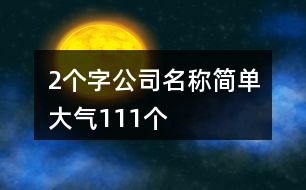 2個(gè)字公司名稱簡單大氣111個(gè)