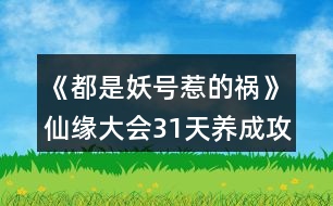 《都是妖號惹的禍》仙緣大會31天養(yǎng)成攻略