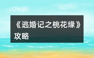 《逃婚記之桃花緣》攻略