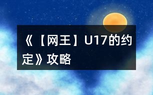 《【網(wǎng)王】U17的約定》攻略