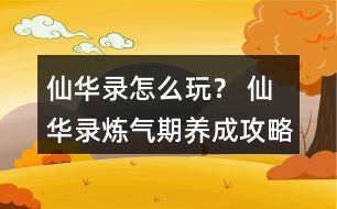 仙華錄怎么玩？ 仙華錄煉氣期養(yǎng)成攻略