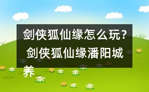 劍俠狐仙緣怎么玩？ 劍俠狐仙緣潘陽城養(yǎng)成攻略