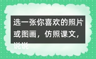 選一張你喜歡的照片或圖畫，仿照課文，說說上面都有什么。