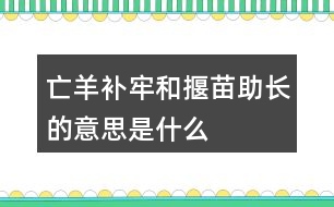 亡羊補(bǔ)牢和揠苗助長的意思是什么