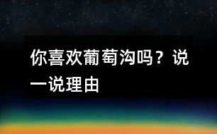 你喜歡葡萄溝嗎？說一說理由