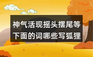 神氣活現(xiàn)搖頭擺尾等下面的詞哪些寫狐貍，哪些寫老虎的