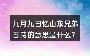 九月九日憶山東兄弟古詩的意思是什么？