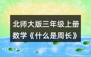 北師大版三年級(jí)上冊(cè)數(shù)學(xué)《什么是周長(zhǎng)》 3.笑笑在動(dòng)物園里沿著右面這條路線走了一周，她一共走了多少米?