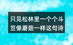 只見松林里一個個斗笠像蘑菇一樣這句詩的意思是什么？