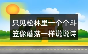 只見松林里一個個斗笠像蘑菇一樣說說詩句的意思