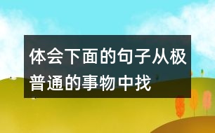 體會(huì)下面的句子從“極普通的事物”中找到美