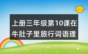 上冊(cè)三年級(jí)第10課在牛肚子里旅行詞語(yǔ)理解