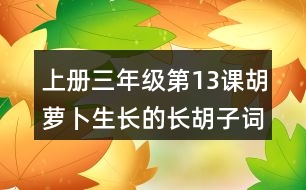 上冊三年級第13課胡蘿卜生長的長胡子詞語理解