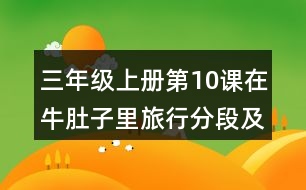 三年級上冊第10課在牛肚子里旅行分段及段落大意