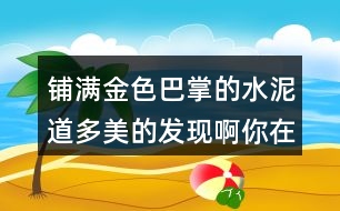 鋪滿金色巴掌的水泥道多美的發(fā)現(xiàn)啊你在上學(xué)或放學(xué)路上景色