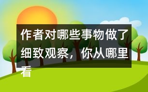 作者對哪些事物做了細致觀察，你從哪里看出來的