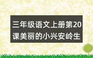 三年級語文上冊第20課美麗的小興安嶺生字組詞與近反義詞