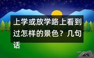 上學(xué)或放學(xué)路上看到過(guò)怎樣的景色？幾句話寫下來(lái)