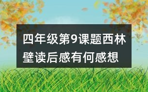 四年級第9課題西林壁讀后感有何感想