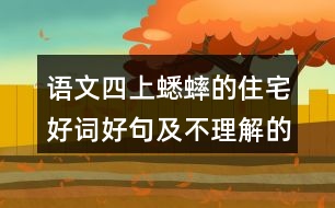 語文四上蟋蟀的住宅好詞好句及不理解的詞語