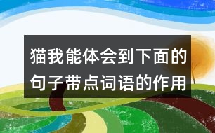 貓我能體會到下面的句子帶點詞語的作用，還能用這些詞語說句子呢。