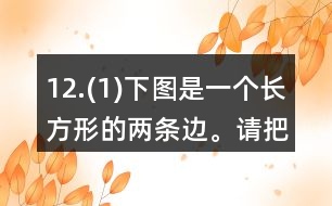 12.(1)下圖是一個(gè)長(zhǎng)方形的兩條邊。請(qǐng)把這個(gè)長(zhǎng)方形畫(huà)完整。