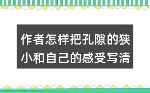 作者怎樣把孔隙的狹小和自己的感受寫清楚的