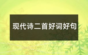 現(xiàn)代詩二首好詞好句