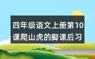 四年級語文上冊第10課爬山虎的腳課后習(xí)題參考答案