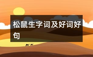 松鼠生字詞及好詞好句