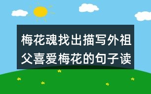 梅花魂找出描寫外祖父喜愛梅花的句子讀一讀，體會這些句子對表達外祖父的思鄉(xiāng)之情有什么好處。