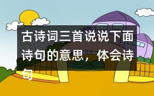 古詩詞三首說說下面詩句的意思，體會詩句表達的思想感情。