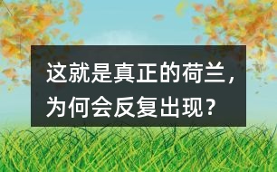 這就是真正的荷蘭，為何會反復(fù)出現(xiàn)？