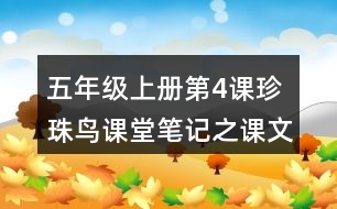 五年級上冊第4課珍珠鳥課堂筆記之課文主題