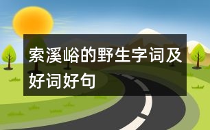 索溪峪的”野“生字詞及好詞好句